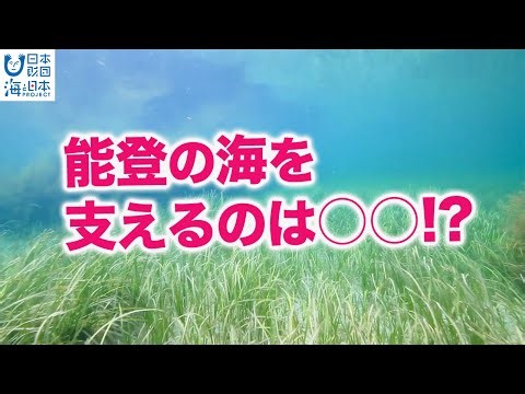 能登の海、陰の主役は海藻 日本財団 海と日本PROJECT in いしかわ 2022 #06