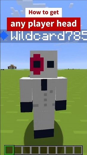 How to get any player head in minecraft #minecraft #memes #minecraftcommands
