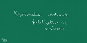 What is parthenogenesis? Explain the haplo-diploid method of se... | Filo