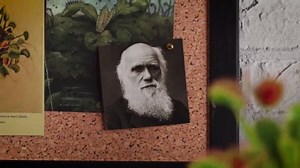 The insane biology of: The Venus flytrap