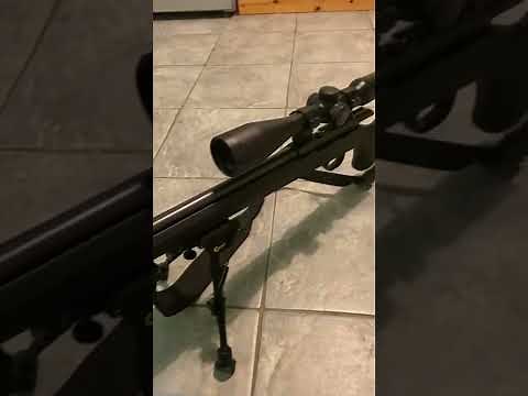 SAK Rimfire Moderator Review