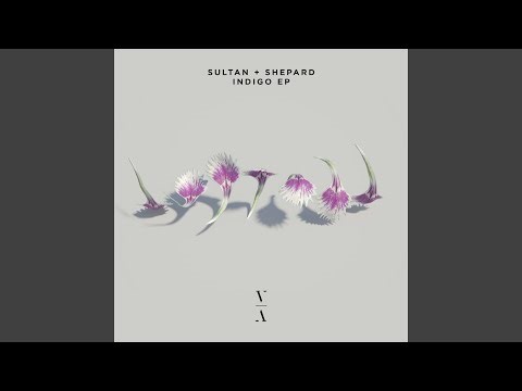 September Everywhere