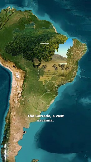 Discover Brazil: A Glimpse into Its Geography and Culture