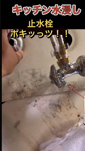 【注意！DIY失敗案件！】いとも簡単に折れてしまう止水栓なので蛇口交換とかは自分でやらない方がベスト。 #shorts