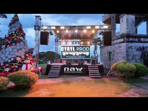 Naw Pro Audio Line Array Case