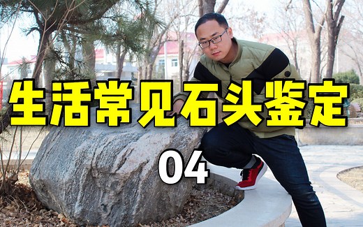 【岩石与矿物】12 生活中的泰山石、混合岩、片麻岩、大理岩