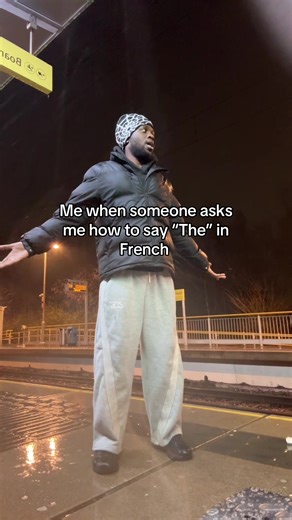 Learn How to Say 'The' in French