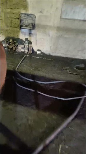 boiler feed pump low pressure boiler #boiler #ytshorts #mechanical