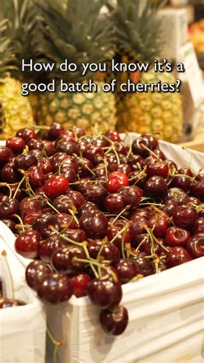 It’s drupe season! What’s a drupe? Same thing as a stone fruit! So called because of the pit or “stone” that their juicy flesh surrounds, these fruits include apricots and cherries, and also nectarines, plums, and peaches. There are some unexpected inclusions too, including cashews and almonds. Can you tell us any others? Here’s a hint: Many of us get very cranky when we don’t have access to this stone fruit. Washington-grown organic cherries and apricots are on sale right now at the Co-op. Come