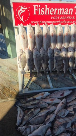 Colder temperatures Lower tides= LOTS OF FISH...😀🎉🔥🎣 January 2026 🎣🛥🏝 PORT ARANSAS ,TEXAS 🇺🇲 | Tejas Guide Service