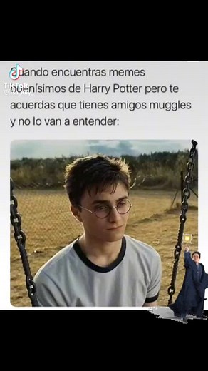 Memes divertidos de Harry Potter y amigos muggles