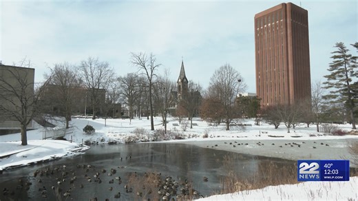 UMass Amherst to enhance bird safety with state grant
