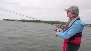 Top water blue fish action!