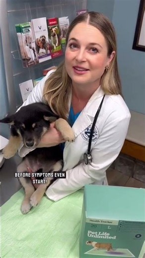 Urinary tract infections and other urinary health concerns affect dogs of all breeds !