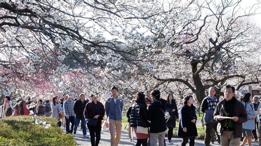 5 Taman Terbaik di Jepang di Mana Kamu Bisa Menikmati Keindahan Empat Musim - Tribun Travel