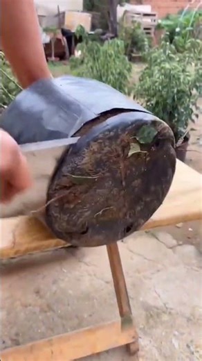 Cutting process of soil for cultivating the roots of ornamental trees