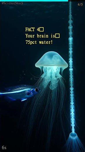 5 Incredible Brain Facts You Didn't Know 🧠