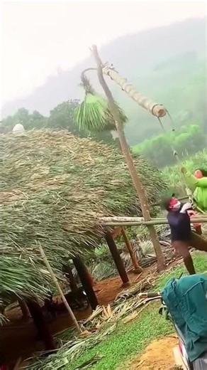 Clever process of stacking hay stacks using the principle of leverage