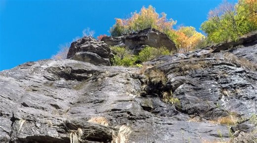 Smugglers’ Notch provides ecological niche to rare plant community