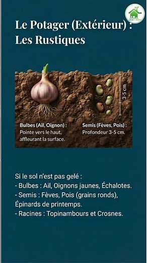 Tout faire au JARDIN en FÉVRIER : Le Guide Complet ! 🌿 #Jardin #Potager #Fevrier