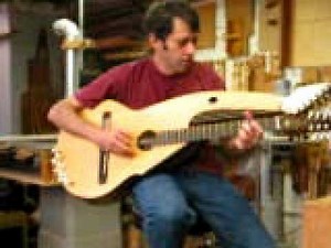 Sympathetic string harp guitar sitar