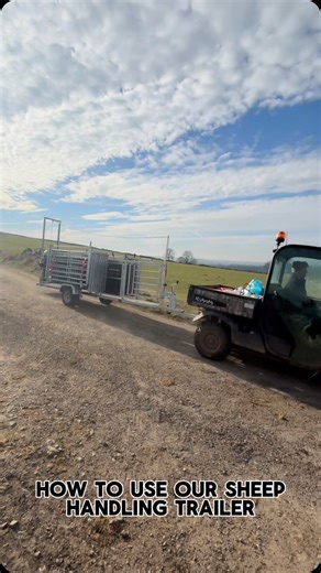 17 reactions | Did you know our sheep handling trailer now comes with a hydraulic hand pump to lower it to the ground? This makes setting up and packing away more efficient.  Watch the video to see how  #Sheep #sheephandling #sheeptrailer #mobilesheephandling #sheepfarm #sheepfarming | LM Bateman & Co. | Facebook