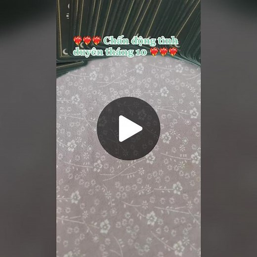 Five Of Cups Tarot trên TikTok