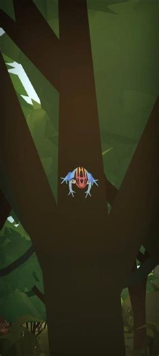 1.2.Amphibian: "Poison Frog"