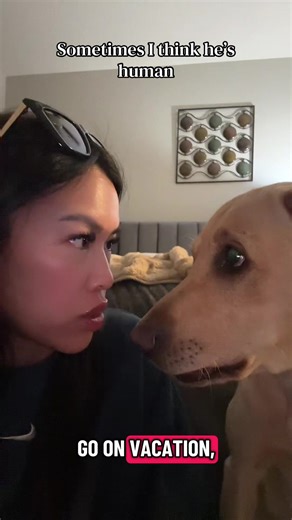 Understanding Canine Instincts: Why Dogs Know When We Leave