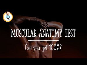 ANATOMY QUIZ - Muscles of the body! Can you get 100%?