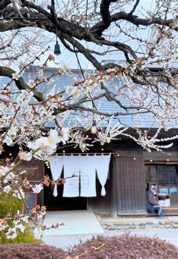 天平の丘公園の梅と桜の美しい景色