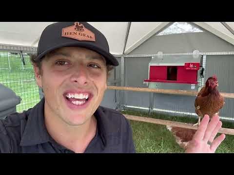 How to ensure your hens lay in the nest box - HenGear.com