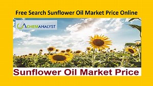 Sunflower Oil Price Trend and Forecast