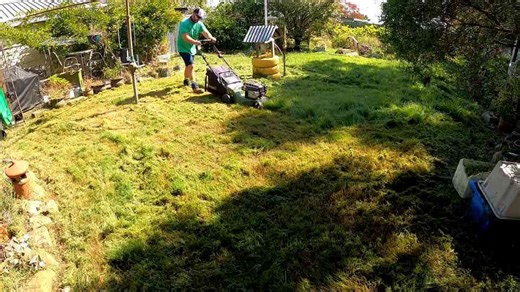 An Australian lawn rescue transforms a yard buried in tall grass