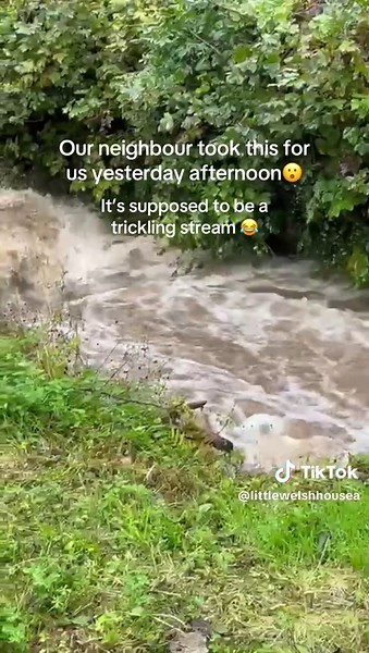 Wild Weather Transforms Local Stream into a River