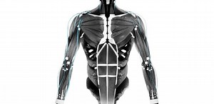 SF感が溢れている...、人工筋肉から作られたロボット・アーム。来年は上半身バージョンも登場