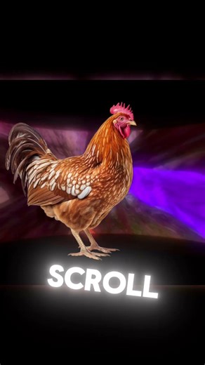 What do you play on? ￼