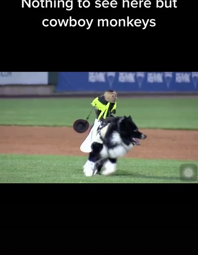 Cowboy Monkeys Riding Dogs: A Fun Rodeo Adventure!