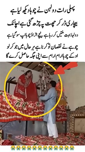 Bride Gets Scared After Seeing a Mouse on First Night 😱#shorts