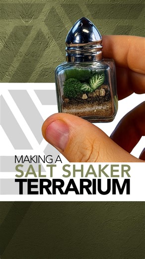 I turned this mini salt and pepper shaker into a miniature terrarium 🌱 #terrarium #plants #moss | Johnathon Q Swanson