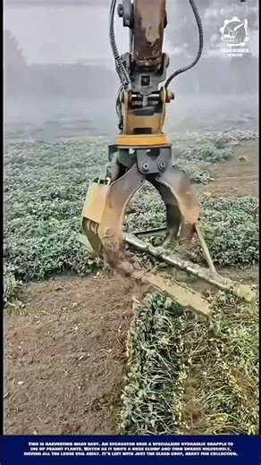 Revolutionizing Excavator! Hydraulic Peanut Harvester 360-Degree Rotating Grapple with Sieving Tines