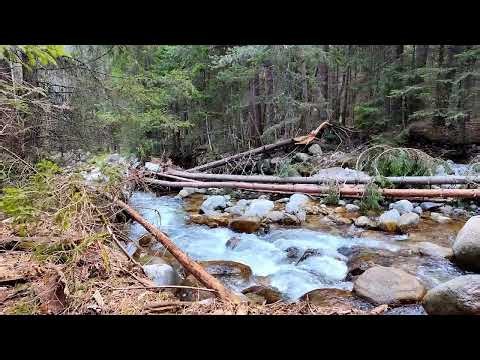 A Spring River, Deep in the Forest. 2+ Hours. No Music. Just This.