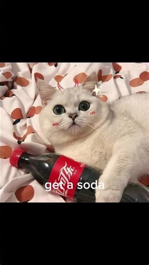 how to open a soda tutorial part 61 #cat #catmeme #usefultips #helpful #catphoto #kitten