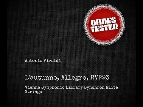 VSL - Elite Strings (Vivaldi, RV293, L'autunno, III. Allegro)