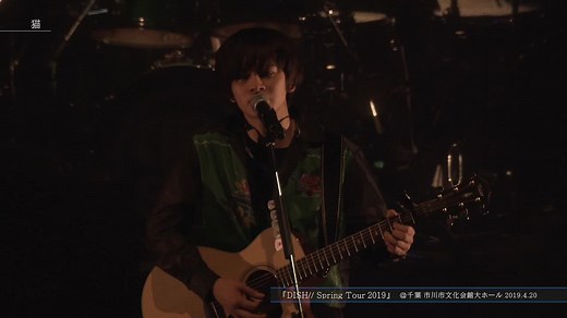 DISH//猫 フルライブ動画特別版をオフィシャルYouTubeでチェック！