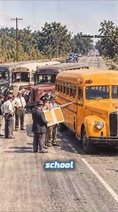 The Secret History Behind America’s Yellow School Bus! 🚌🇺🇸#history #education #transport #viral