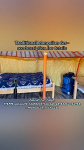 8.3K views · 129 reactions | Pallas Cat Camp, Mongolia~A ger is a...