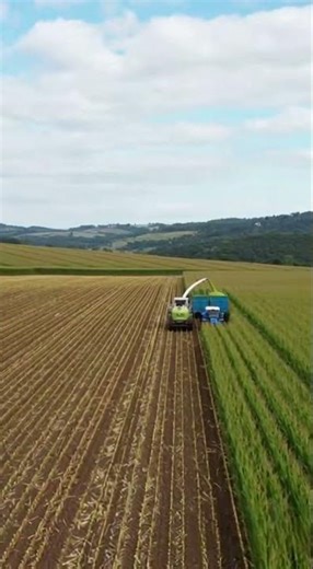 Giant Tractor Harvesting Crops Powerful Farming Machines in Action #TractorHarvest #Agriculture