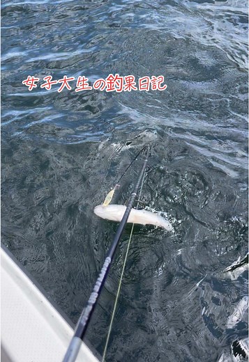 #釣りガール #女子大生 #釣りガール #釣果 #シーバス #海釣り #女子大生の釣果日記 #japan #japanese #fishinggirl #fishing #fyp #釣り #釣り女子 #釣りガールと繋がりたい #釣り好きと繋がりたい #japan #japanese #fish #seabass #love #happy #カサゴ