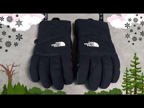 Montana Ski Gloves from The North Face